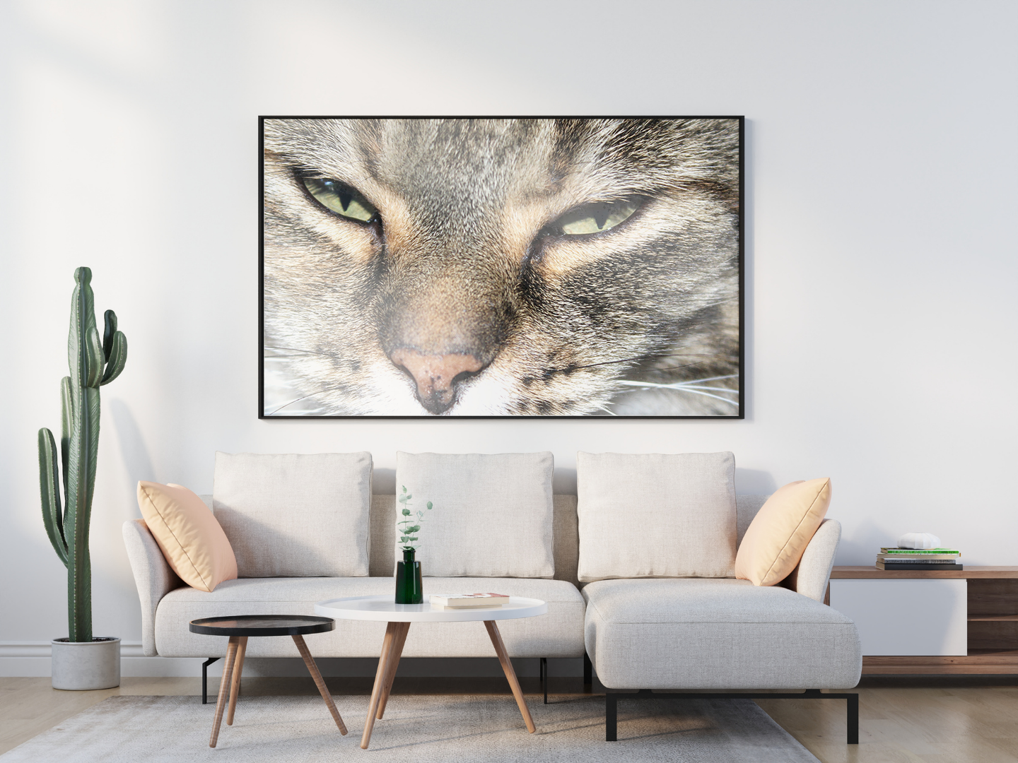Cat Eyes original abstract contextualised office art modern decor photo print by Blair Montague Drake